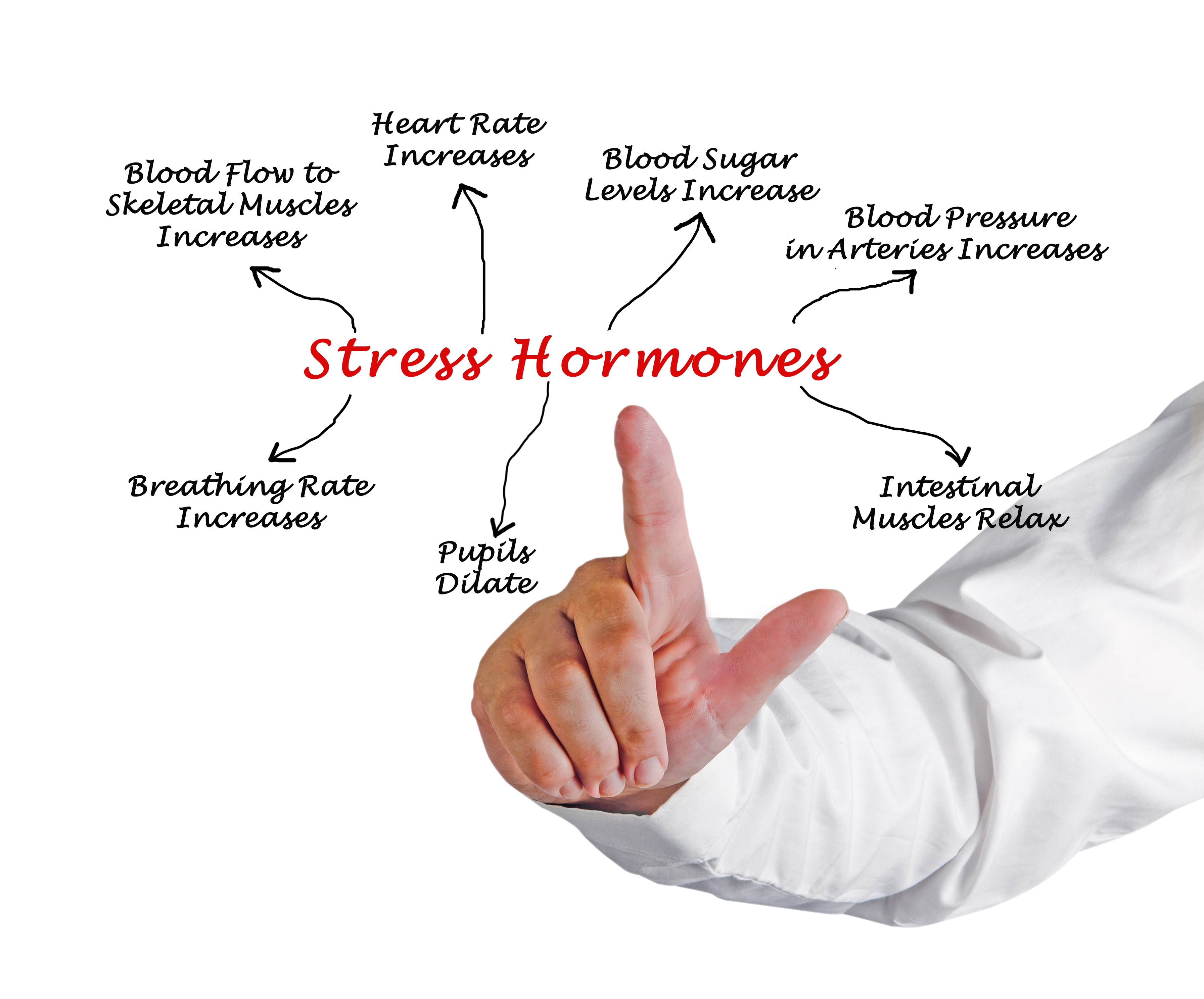 cortisol-the-stress-hormone-exercise-to-reduce-stress